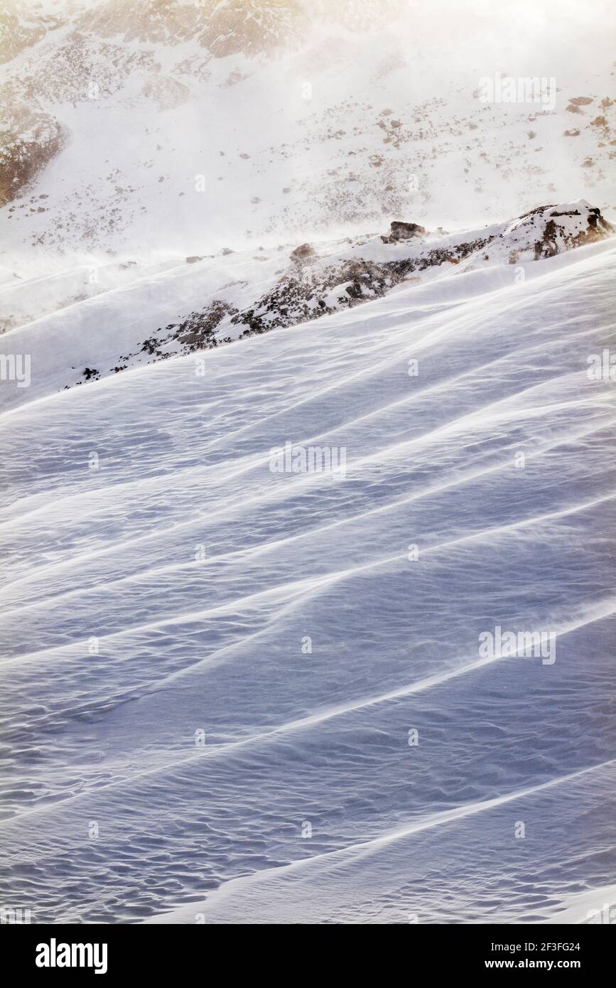 Disegni scolpiti dal vento in neve fresca; vicino alla miniera di Madonna; Monarch Pass; Colorado; USA Foto Stock