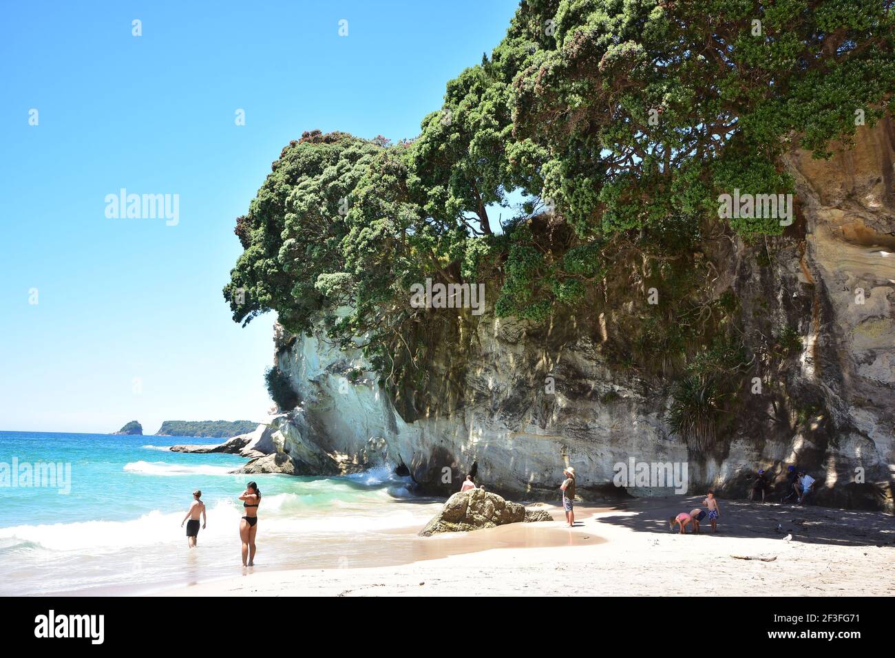 I turisti sulla spiaggia di sabbia sulla scogliera rocciosa bagnata dal surf oceanico con alberi di pohutukawa che crescono sulla sua cima. Foto Stock