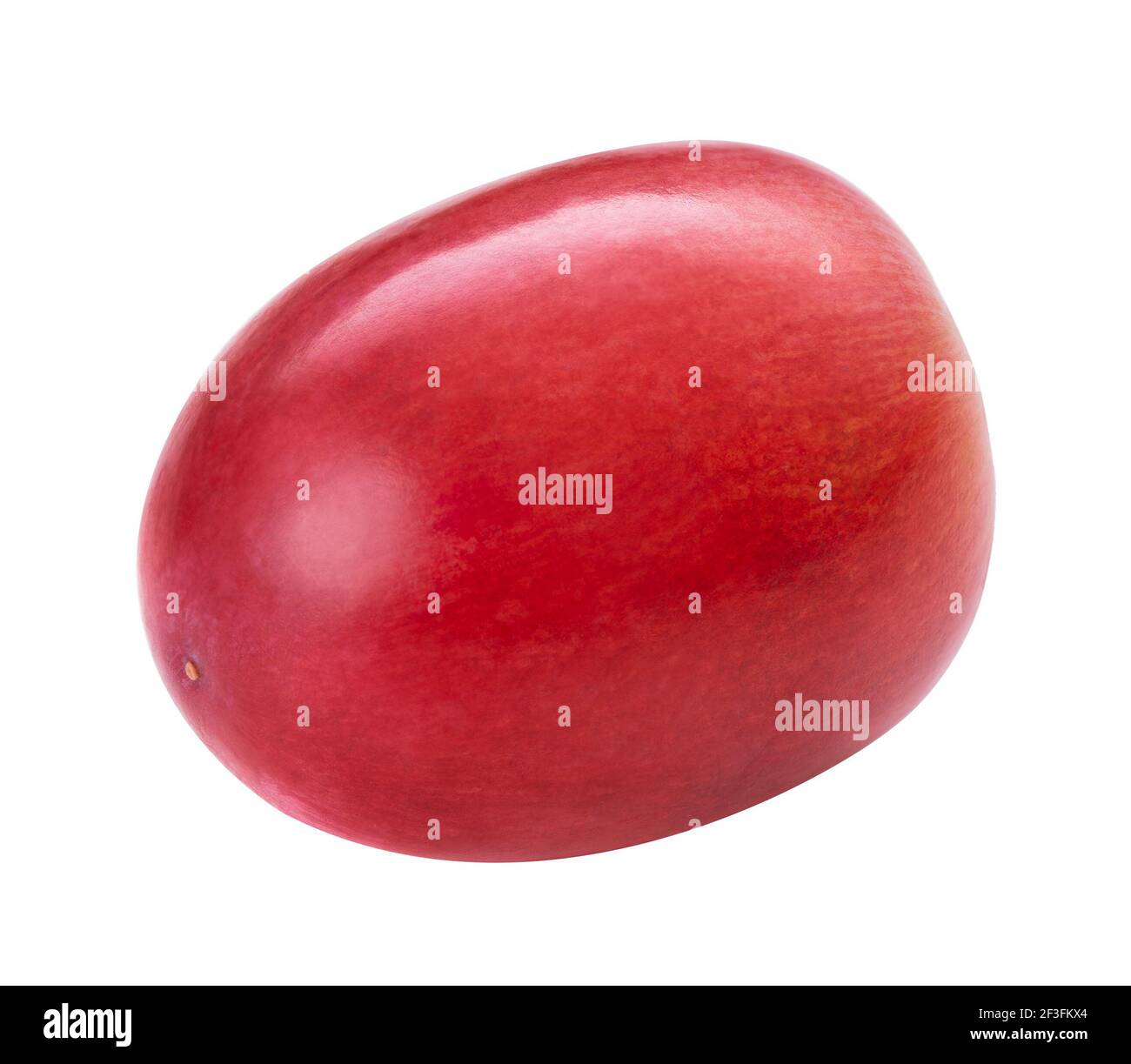 Uva matura rossa isolata su sfondo bianco. Viola scuro uva fresca bacche senza seedless. Macro, scatto in studio Foto Stock
