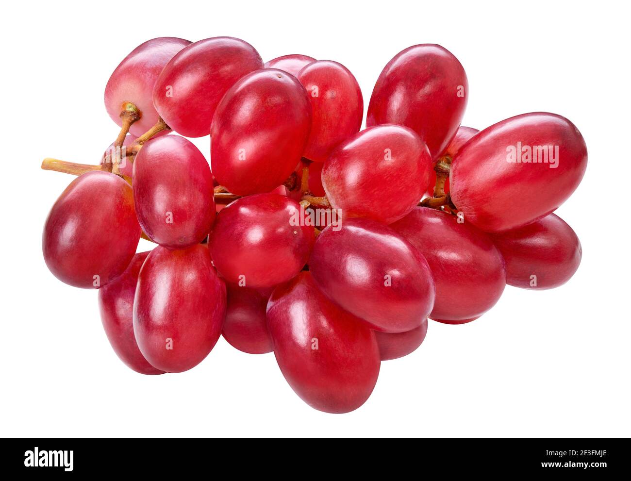 Grappolo di uva matura rossa isolato su sfondo bianco. Mazzo di uva purpurea fresca, composizione autunnale. Macro, scatto in studio, vista frontale. Foto Stock