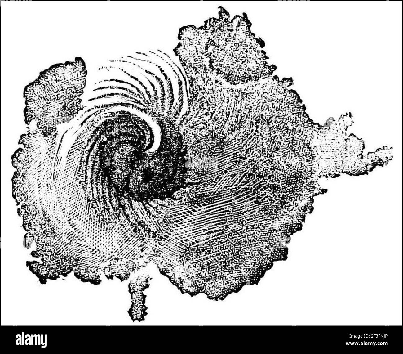 Punti solari a spirale. Foto Stock