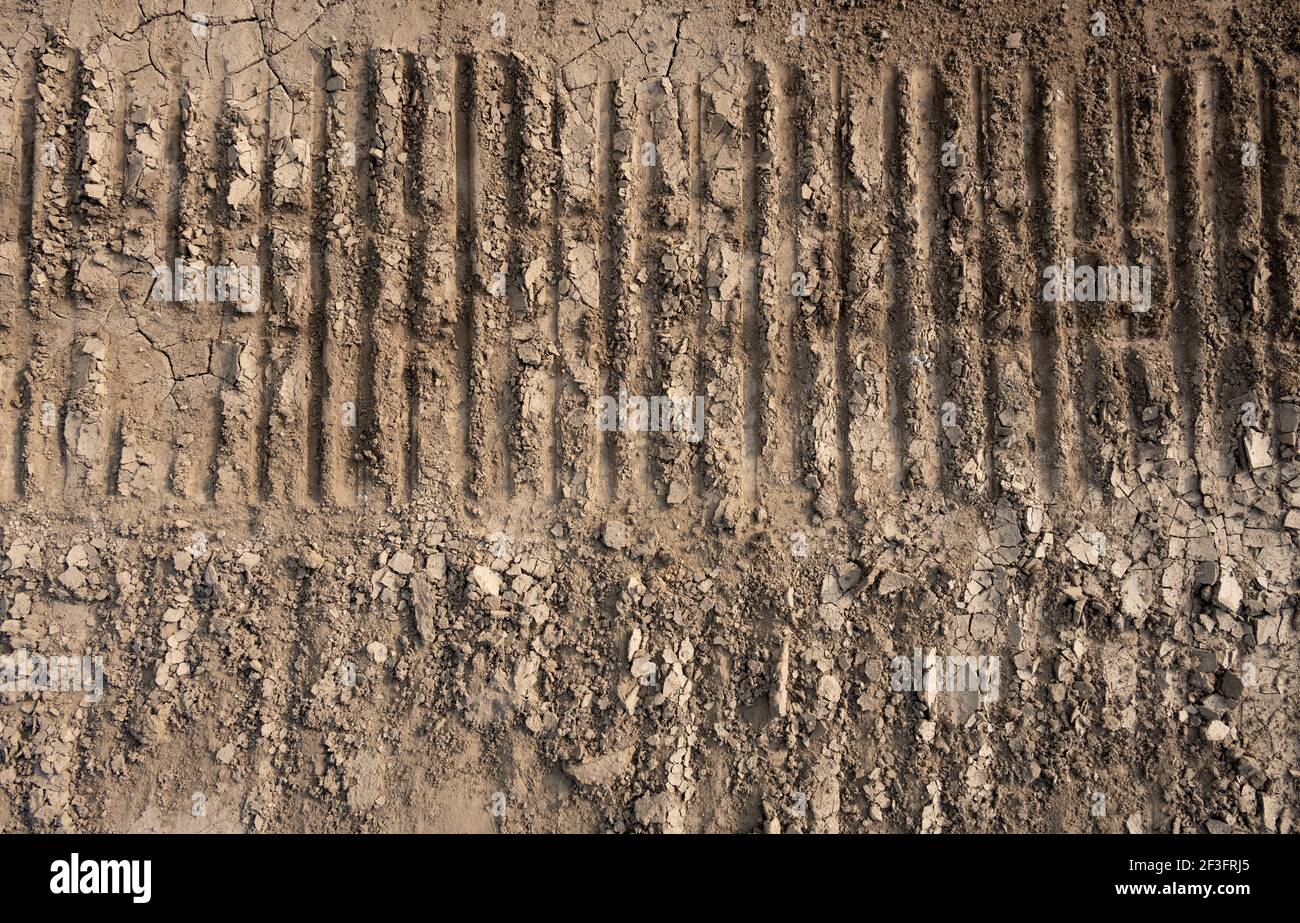 Il terreno asciutto con marchio del pneumatico come sfondo e texture Foto Stock