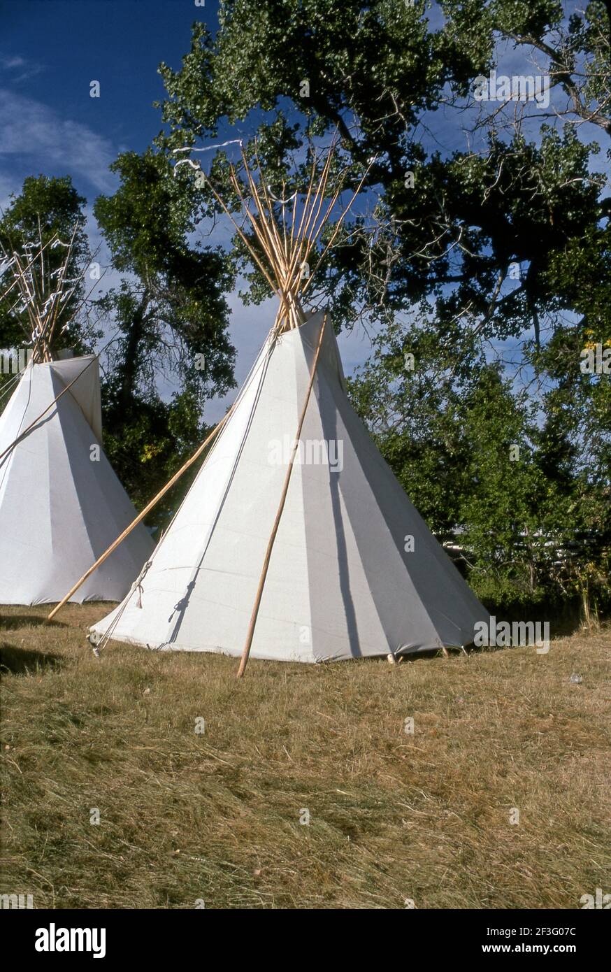 Tradizionale indigeno americano tipis al pow wow Gathering in Montana, Stati Uniti Foto Stock