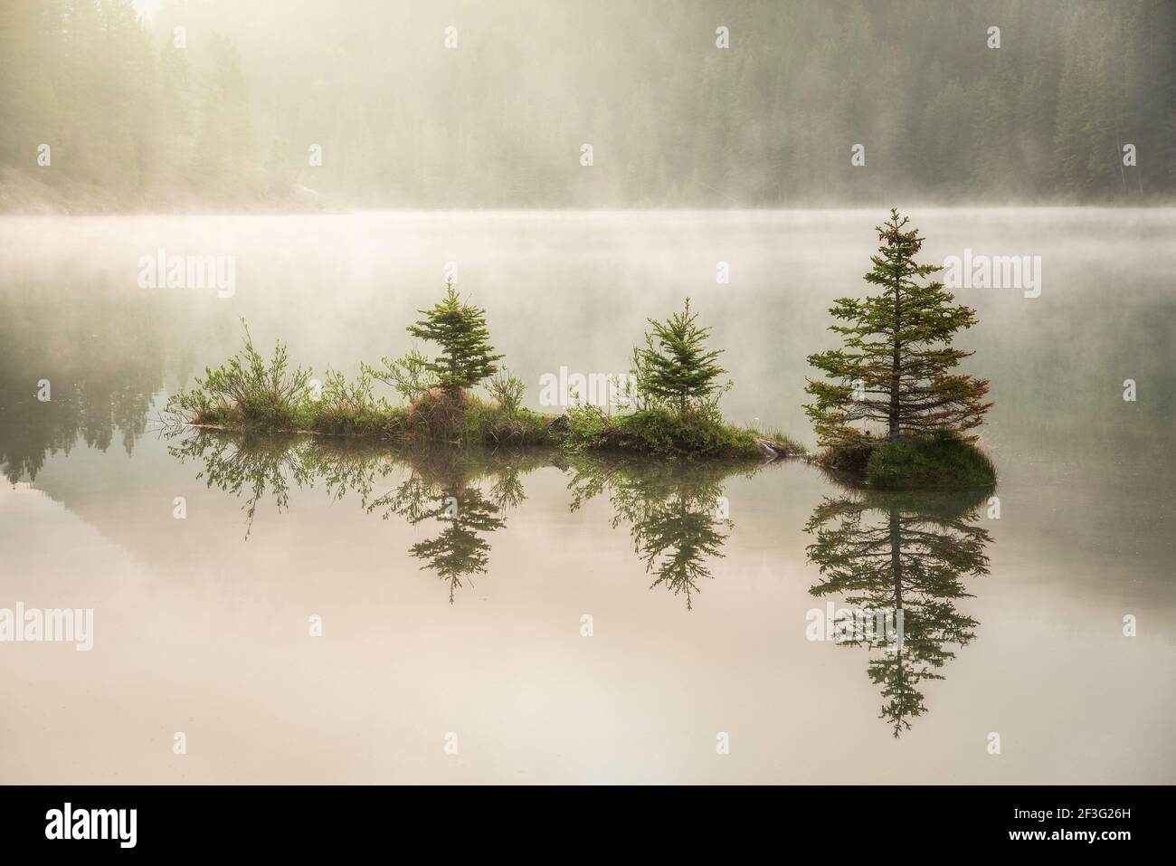 Una piccola isola di piccoli pini si riflette su due Jack Lake nel Banff National Park mentre il sole del mattino splende il colore dorato attraverso la nebbia e la nebbia. Foto Stock