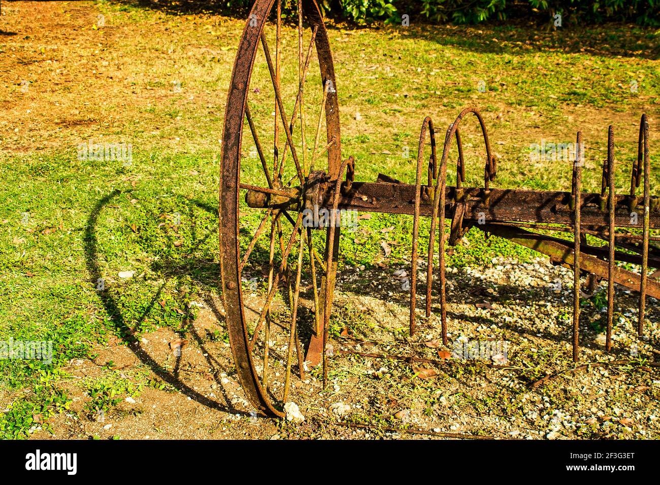Una ruota di un vintage furrower getta la sua ombra al Miami-Dade County Redland Fruit and Spice Park in Florida. Foto Stock