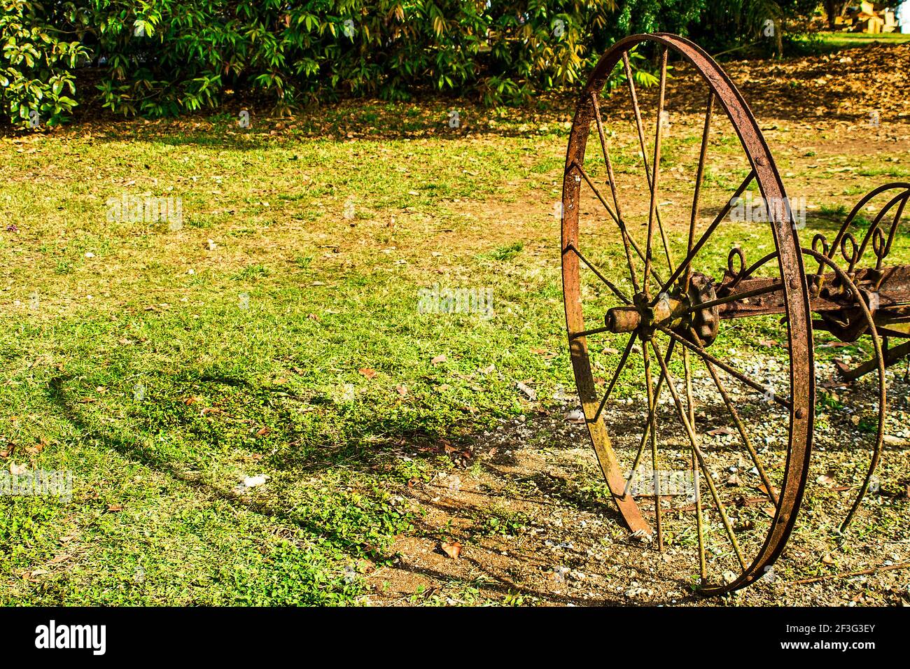 Una ruota di un vintage furrower getta la sua ombra al Miami-Dade County Redland Fruit and Spice Park in Florida. Foto Stock
