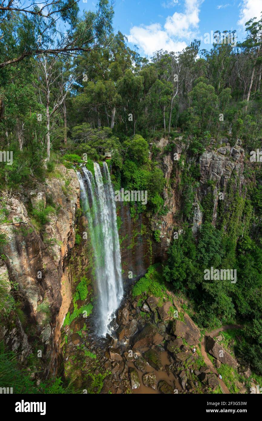 Vista panoramica verticale delle famose Queen Mary Falls, Main Range National Park, Killarney, Queensland, Queensland, Queensland, Australia Foto Stock