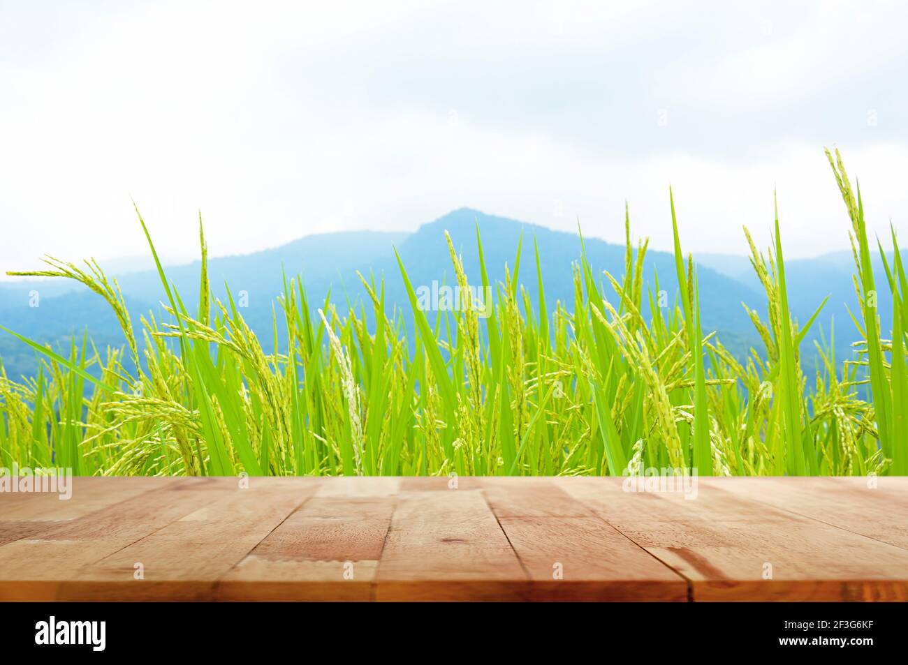 Tavolo in legno su campo di riso verde e sfondo di montagna Foto Stock