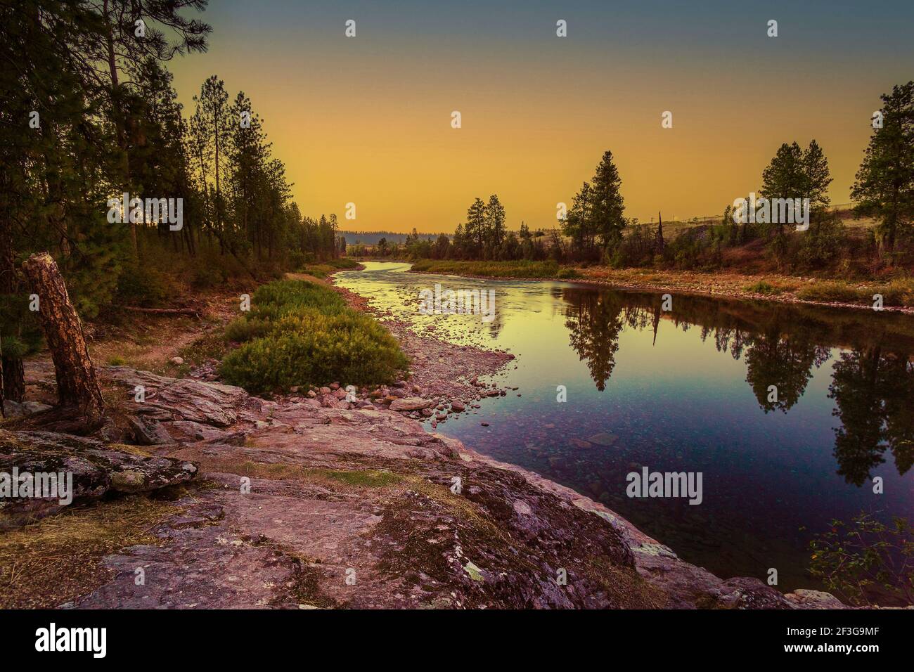 Fiume calmo con acqua trasparente che scorre vicino alberi di conifere verdi contro il cielo blu nuvoloso in campagna Foto Stock