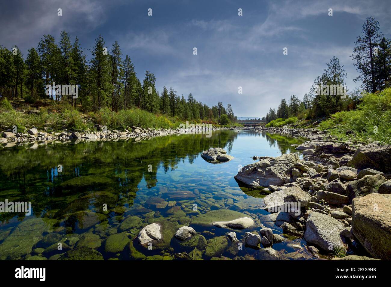 Fiume calmo con acqua trasparente che scorre vicino alberi di conifere verdi contro il cielo blu nuvoloso in campagna Foto Stock
