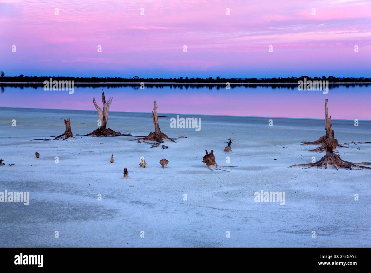 Lago Ninan Salt Lake, Victoria Plains, Australia occidentale Foto Stock