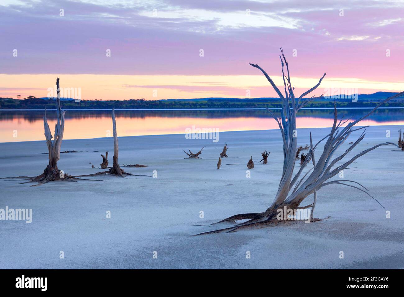 Lago Ninan Salt Lake, Victoria Plains, Australia occidentale Foto Stock