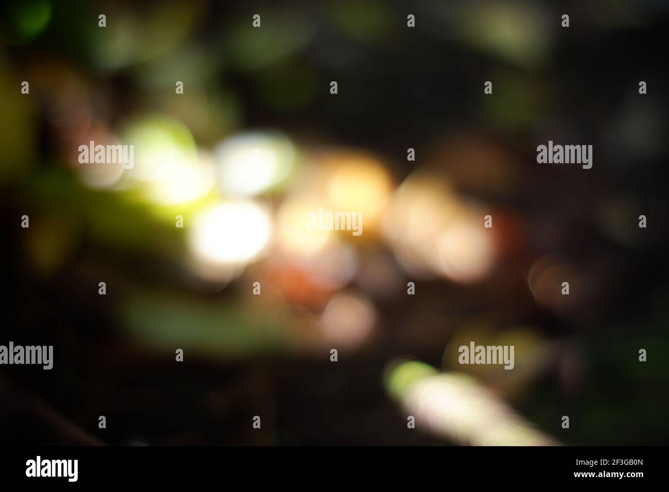 Foto sfocata su sfondo naturale luminoso. Luce sfocata tra le foglie verdi. Immagini per materiali di disegno e scrittura Foto Stock