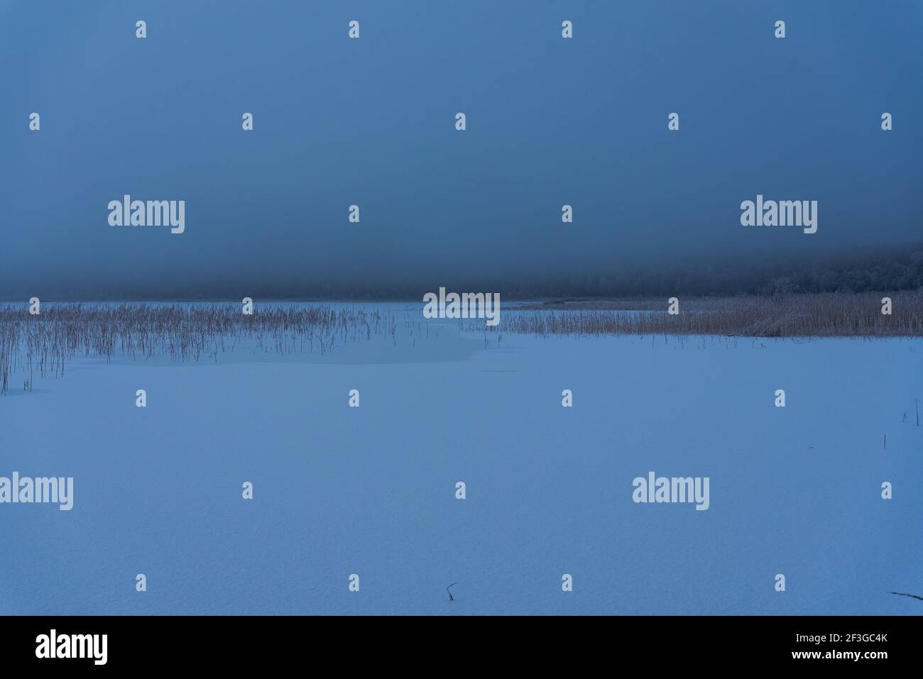 lago ghiacciato sul bordo della foresta sul bordo del lago piegato, la neve è nevosa e i rami degli alberi sono gelosi in una giornata nuvolosa Foto Stock