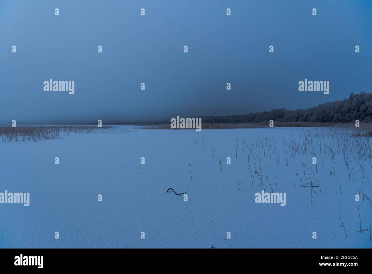 lago ghiacciato sul bordo della foresta sul bordo del lago piegato, la neve è nevosa e i rami degli alberi sono gelosi in una giornata nuvolosa Foto Stock