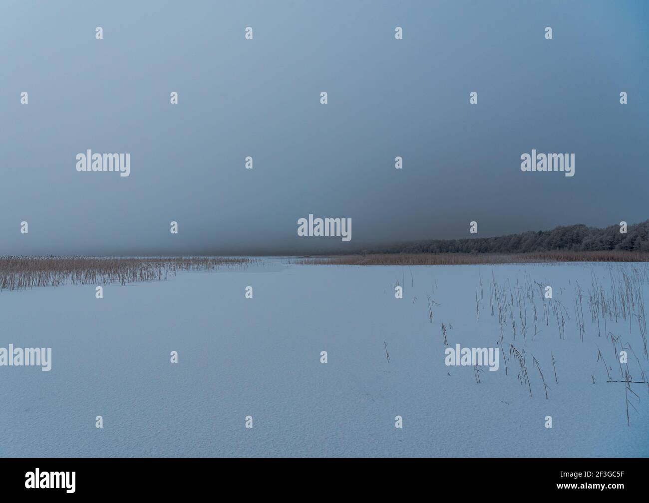 lago ghiacciato sul bordo della foresta sul bordo del lago piegato, la neve è nevosa e i rami degli alberi sono gelosi in una giornata nuvolosa Foto Stock