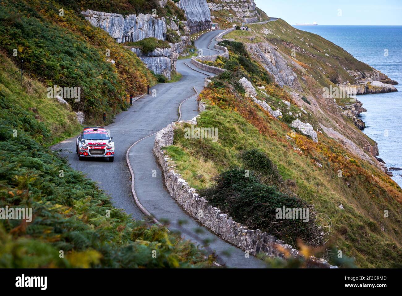 Durante il WRC World Rally Car Championship 2018, Wales Rally Gran Bretagna dal 4 al 7 ottobre, a Deeside, Galles - Foto Thomas Fenetre / DPPI Foto Stock