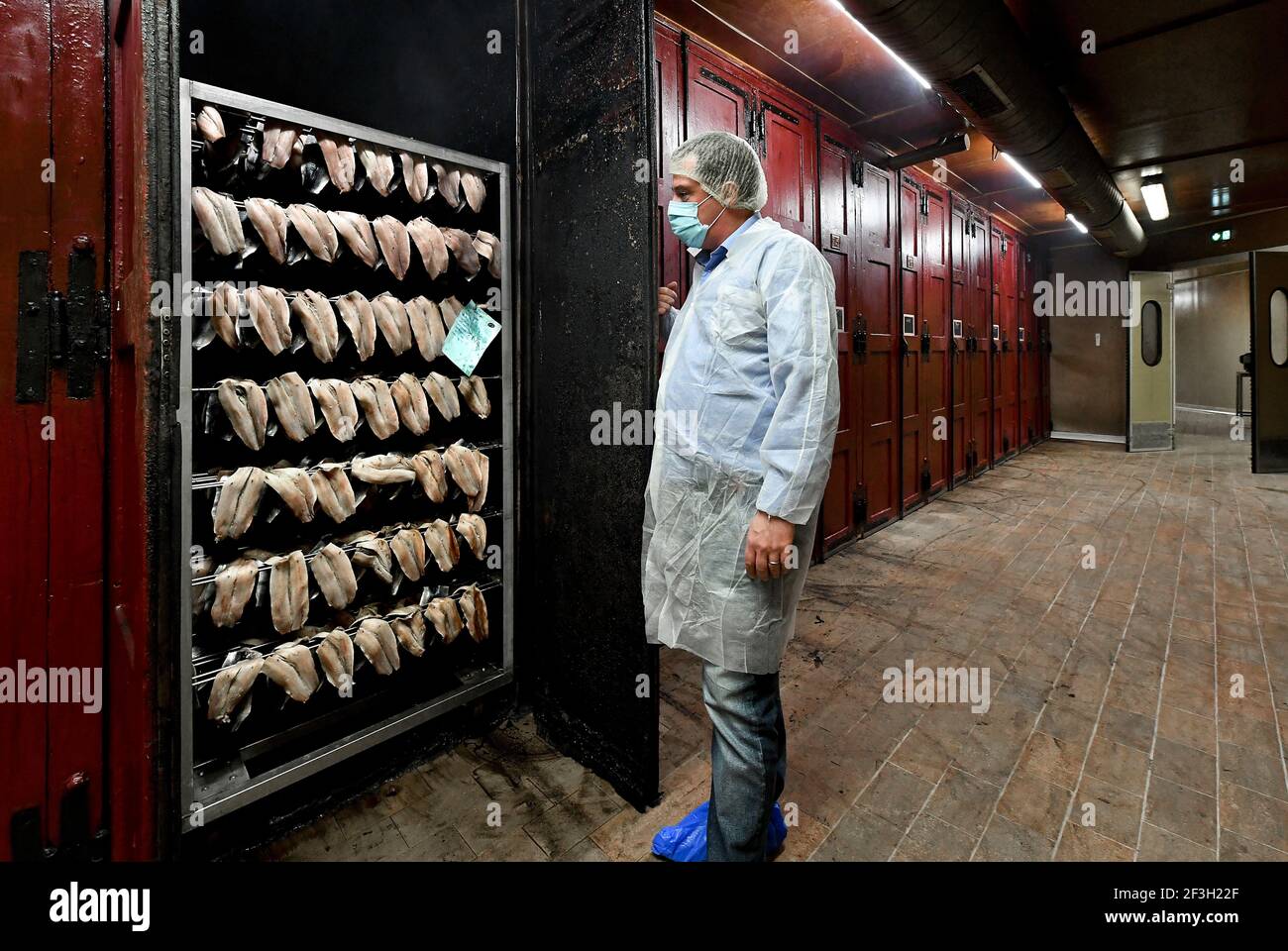 Boulogne-sur-Mer (Francia settentrionale): Cura del pesce nel laboratorio della società di salatura JC David. Foto Stock