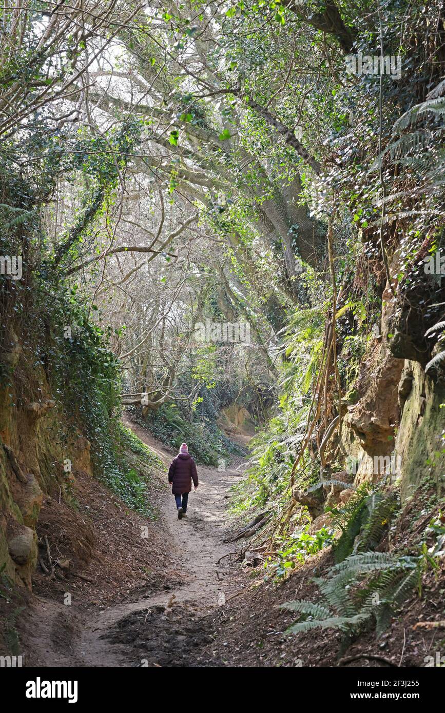 Vicoli di sabbia profonda a Odcombe Somerset Foto Stock