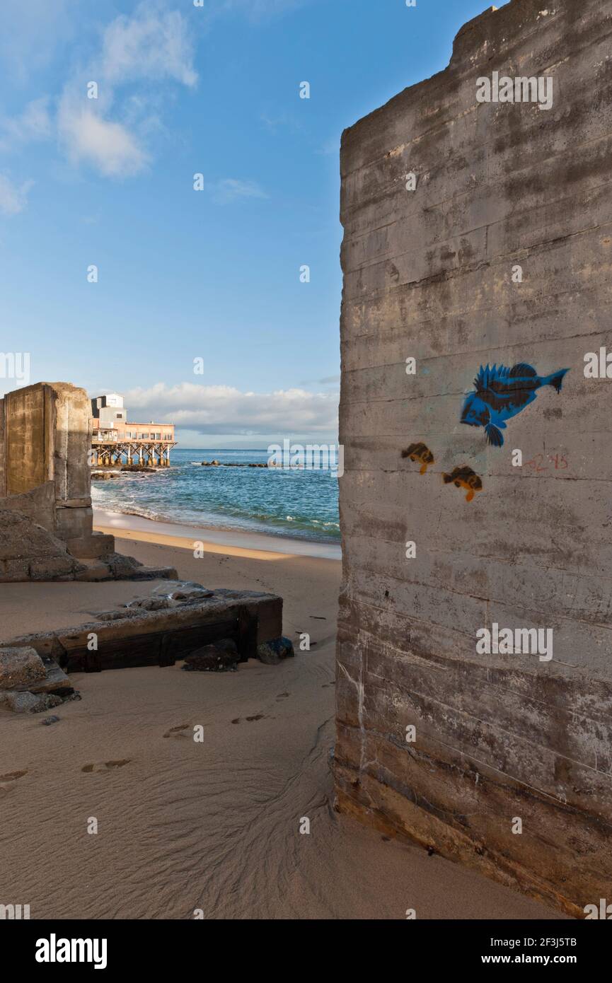 Vista tra vecchie pareti in cemento sulla spiaggia, con graffiti di pesce blu e arancio, con Ocaen Pacifico e molo sullo sfondo - Monterey, California. Foto Stock