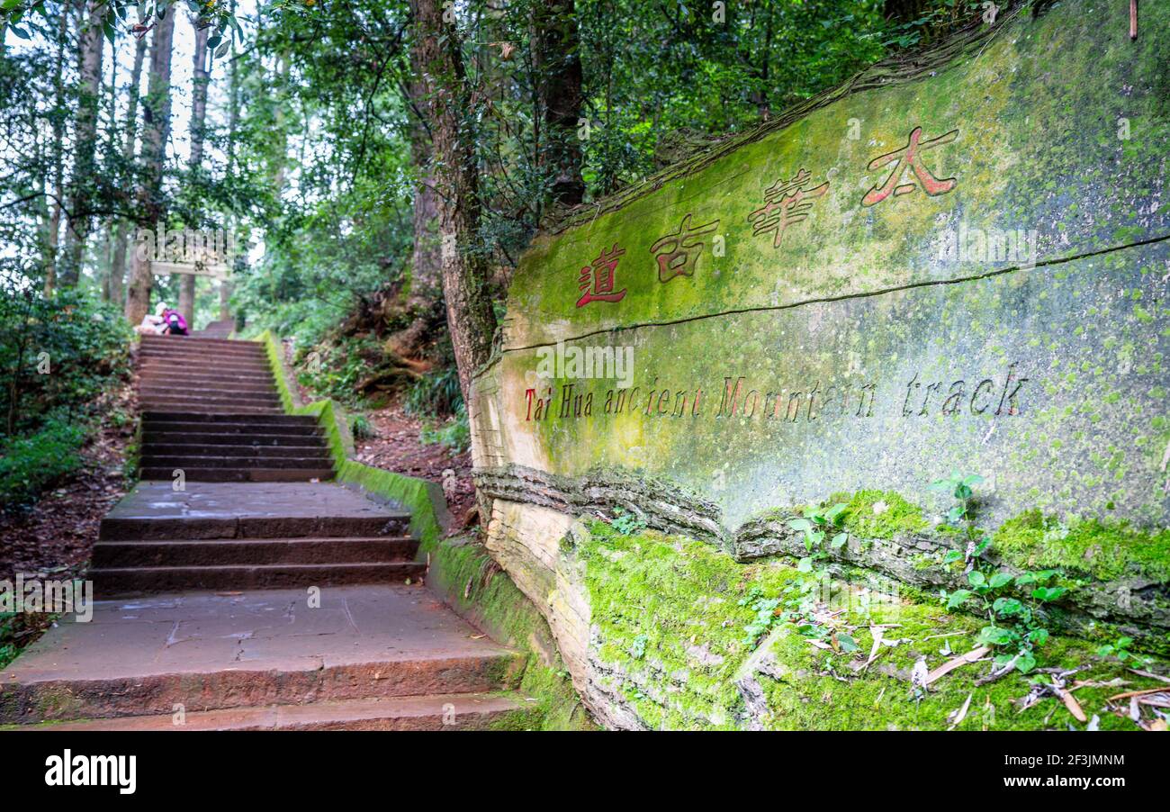 L'antica pista di montagna di Tai Hua inizia nella collina occidentale di Xishan parco forestale a Kunming Yunnan Cina Foto Stock
