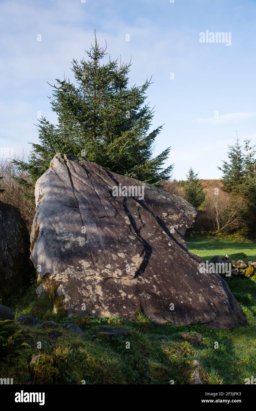 Cavan Burren Park, Geopark, Blacklion, Irlanda, Foto Stock