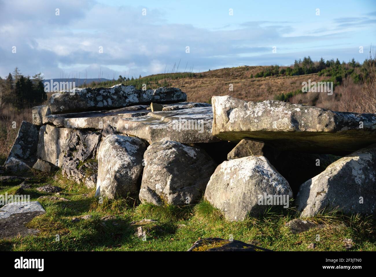 Tomba di Leap Wedge di Giant, Cavan Burren Park, Geopark, Blacklion, Irlanda, Foto Stock