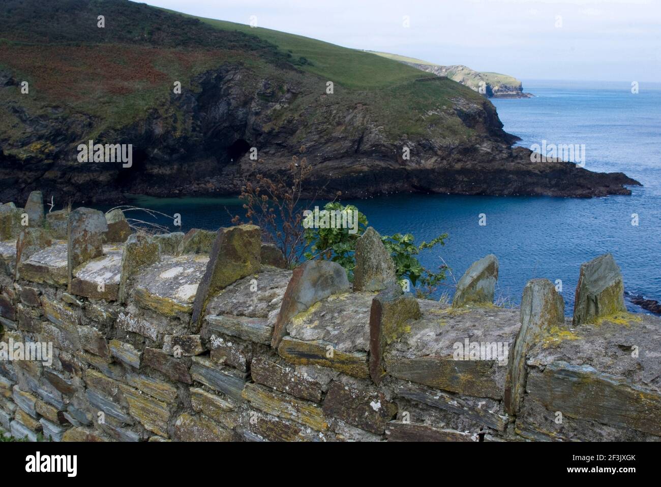 Muro di pietra che si affaccia sul porto, Port Isaac, Cornwall, Regno Unito Foto Stock