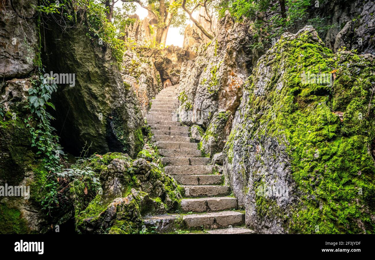 Percorso scale nel mezzo della formazione rocciosa calcarea e drammatica Luce a Shilin pietra parco forestale in Yunnan Cina Foto Stock