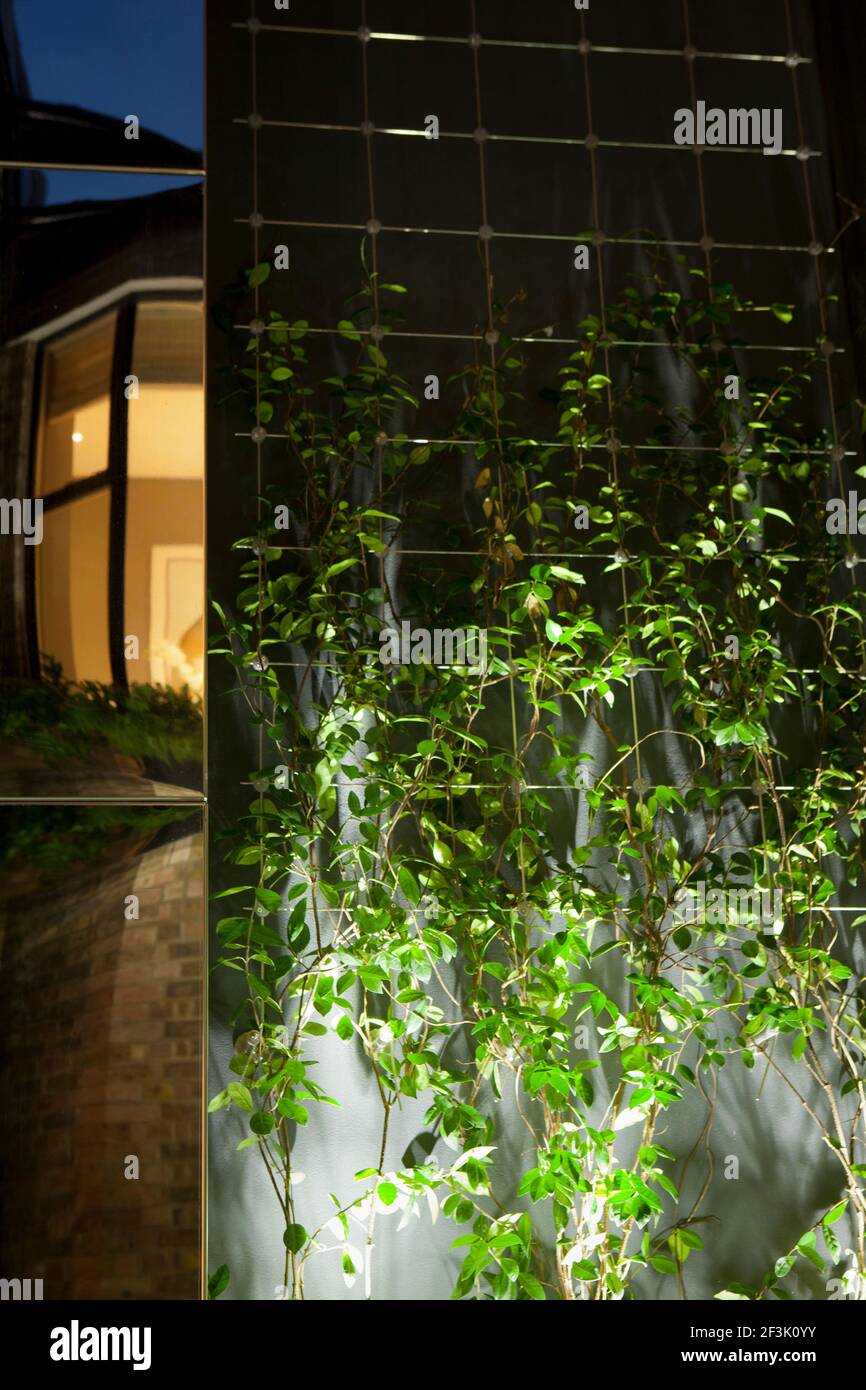 Piccolo giardino recintato nel Regent's Park nel centro di Londra. Un sistema di crescita del filo di acciaio inossidabile teso all'interno di una nicchia insettata in refle Foto Stock Piccolo giardino recintato nel Regent's Park nel centro di Londra. Un sistema di crescita del filo di acciaio inossidabile teso all'interno di una nicchia insettata in refle Foto Stock