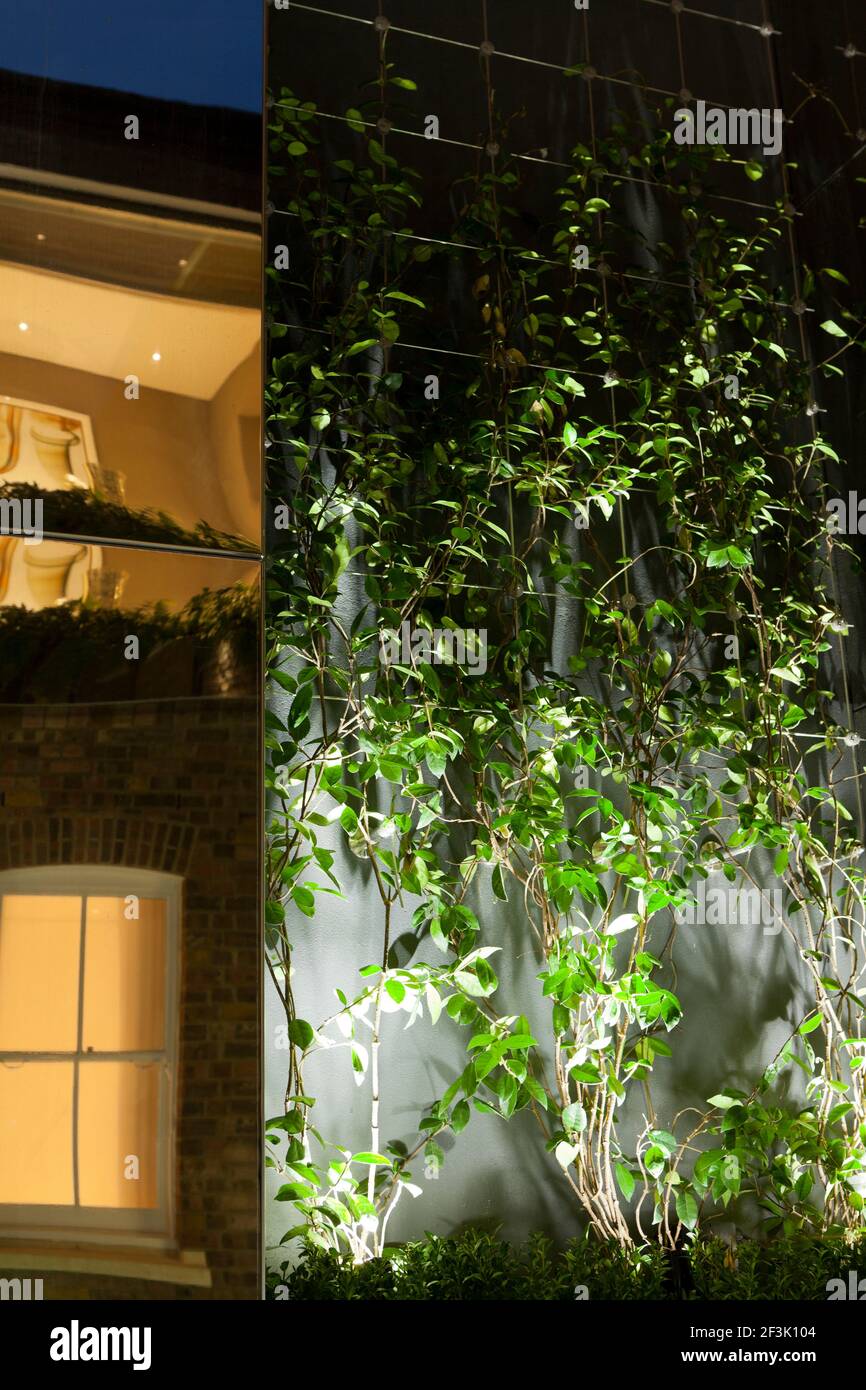 Piccolo giardino recintato nel Regent's Park nel centro di Londra. Un sistema di crescita del filo di acciaio inossidabile teso all'interno di una nicchia insettata in refle Foto Stock Piccolo giardino recintato nel Regent's Park nel centro di Londra. Un sistema di crescita del filo di acciaio inossidabile teso all'interno di una nicchia insettata in refle Foto Stock