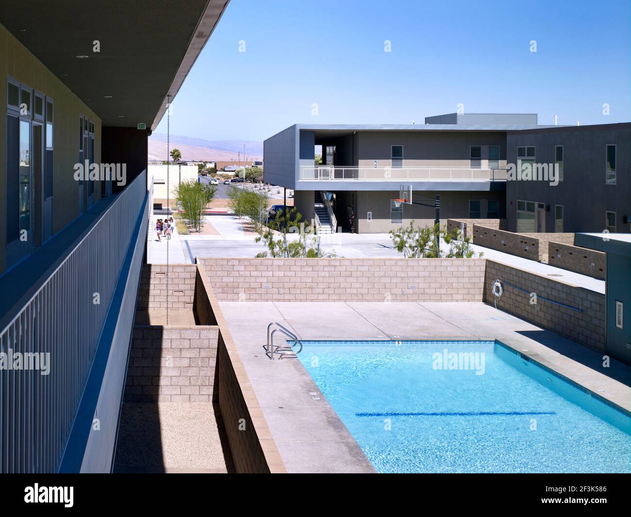 Piscina nel cortile di Rosa Parks alloggiamento, Palm Springs, California. AIA Award Winner. Foto Stock