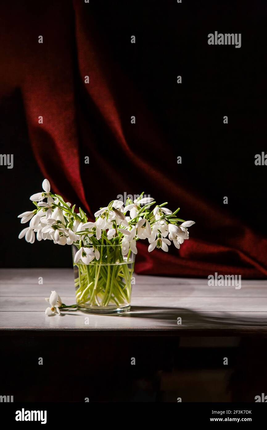 Bouquet di nevi bianchi Galanthus nivalis in vaso di vetro su toni scuri con tessuto rosso sullo sfondo. Foto Stock