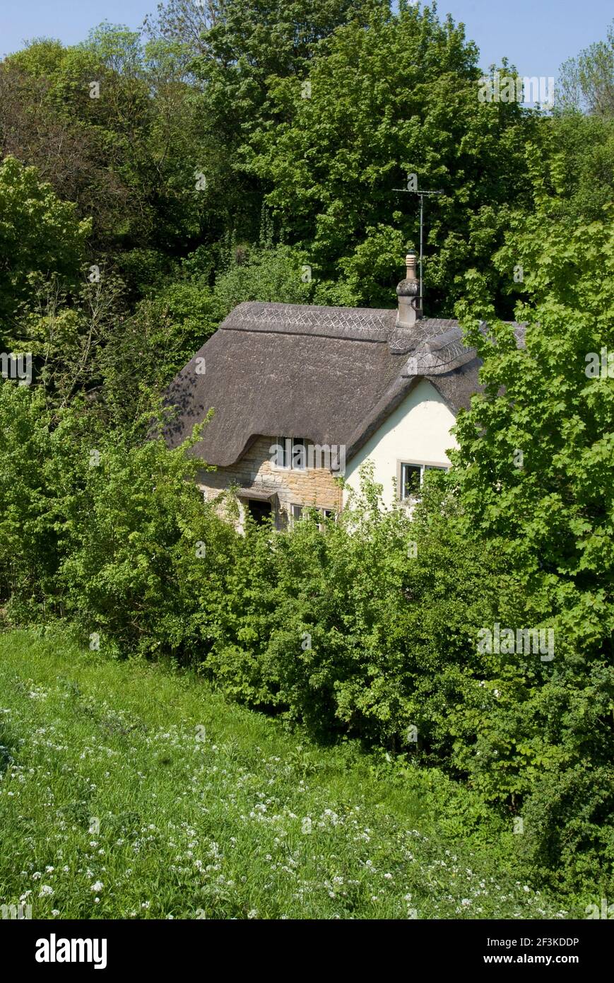 Cottage con tetto in paglia alle spalle del 14 ° secolo Farleigh Hungerford Castello, Somerset, Inghilterra | NESSUNO | Foto Stock