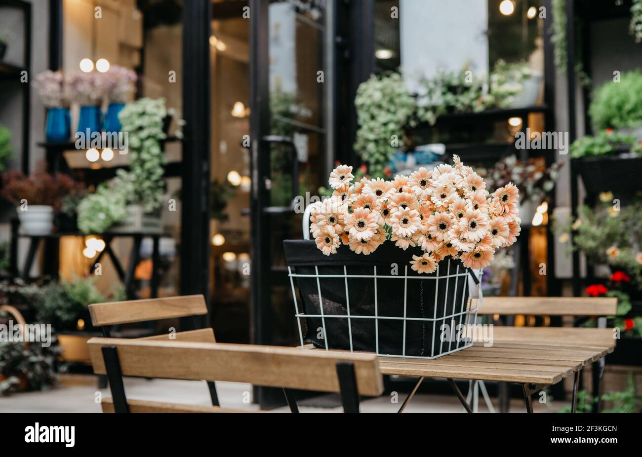 Accogliente fioraio e caffè ecologico decorato con piante diverse, interni esterni Foto Stock