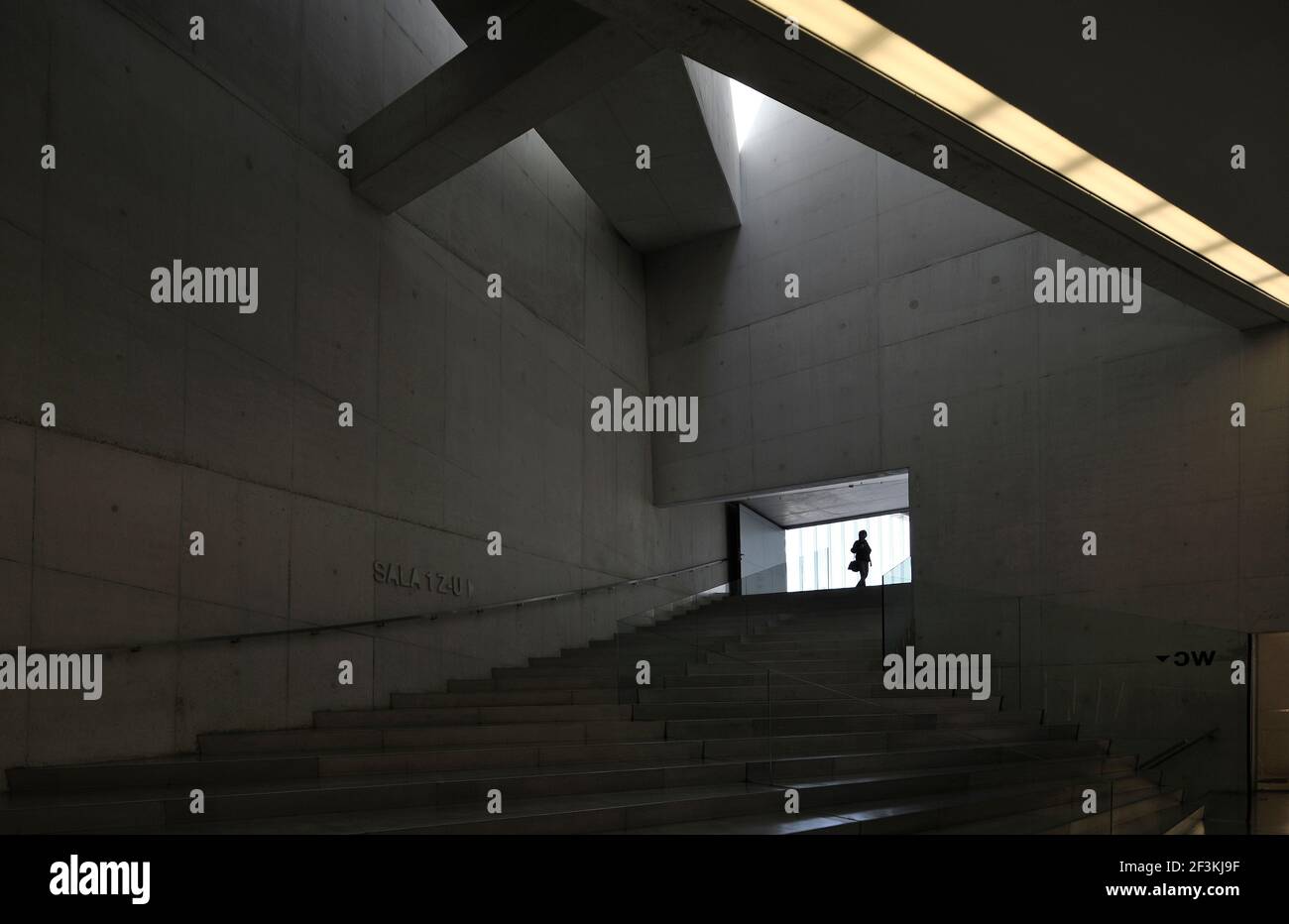 Casa da Musica, Porto, Portogallo, 2005 Foto Stock