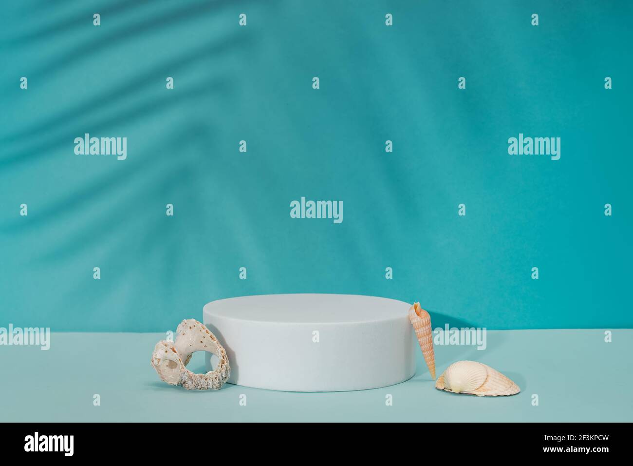 Modello, mock-up per i prodotti di presentazione in blu colori Foto Stock