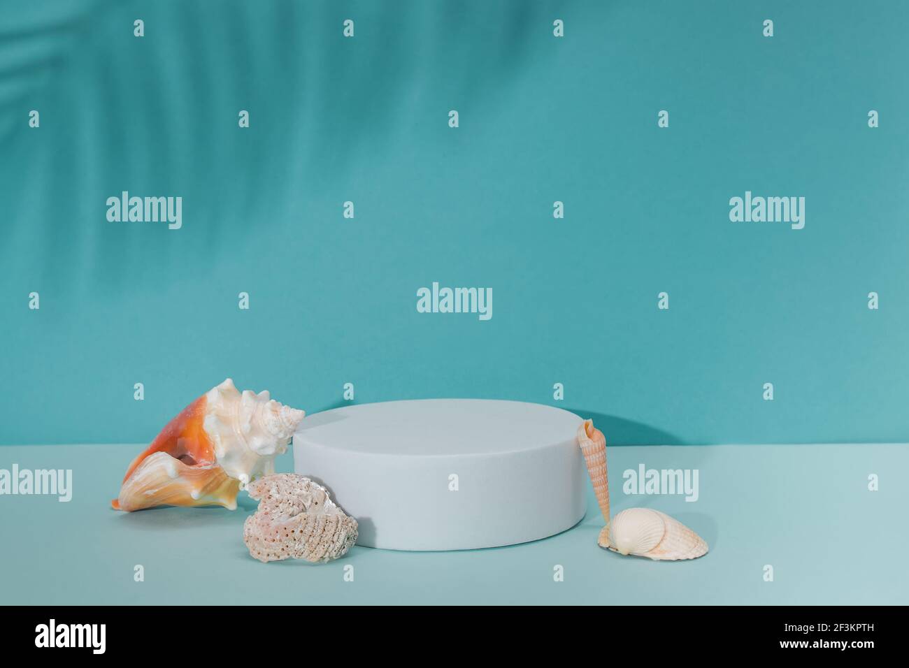 Modello, mock-up per i prodotti di presentazione in blu colori Foto Stock