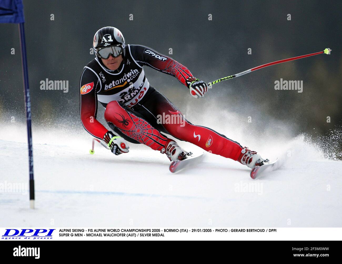 SCI ALPINO - FIS CAMPIONATO DEL MONDO ALPINO 2005 - BORMIO (ITA) - 29/01/2005 - FOTO : GERARD BERTHOUD / DPPI SUPER G UOMINI - MICHAEL WALCHOFER (AUT) / MEDAGLIA D'ARGENTO Foto Stock