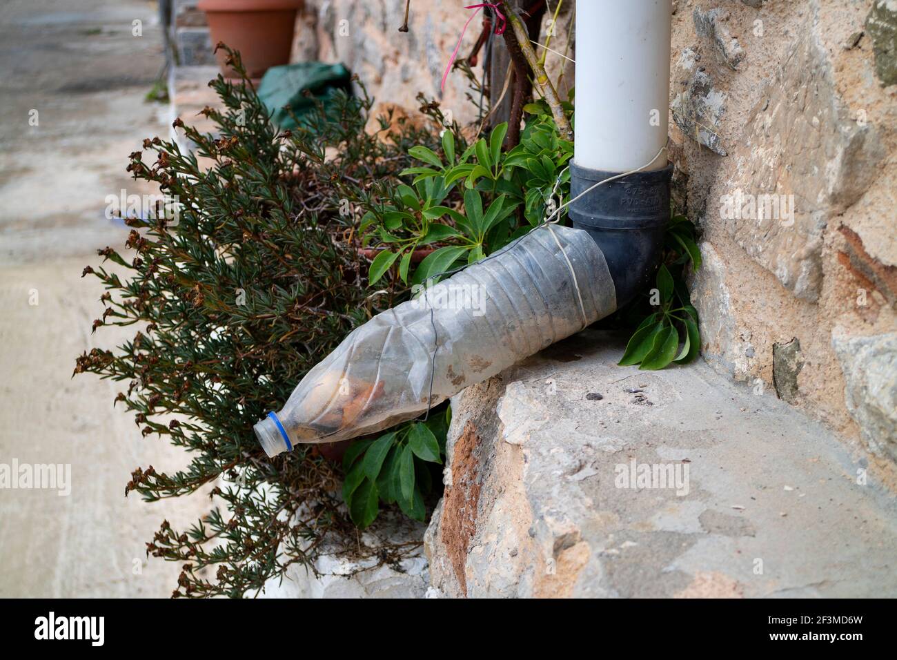 Secondo utilizzo di una vecchia bottiglia di plastica per allungare il beccuccio primo piano Foto Stock
