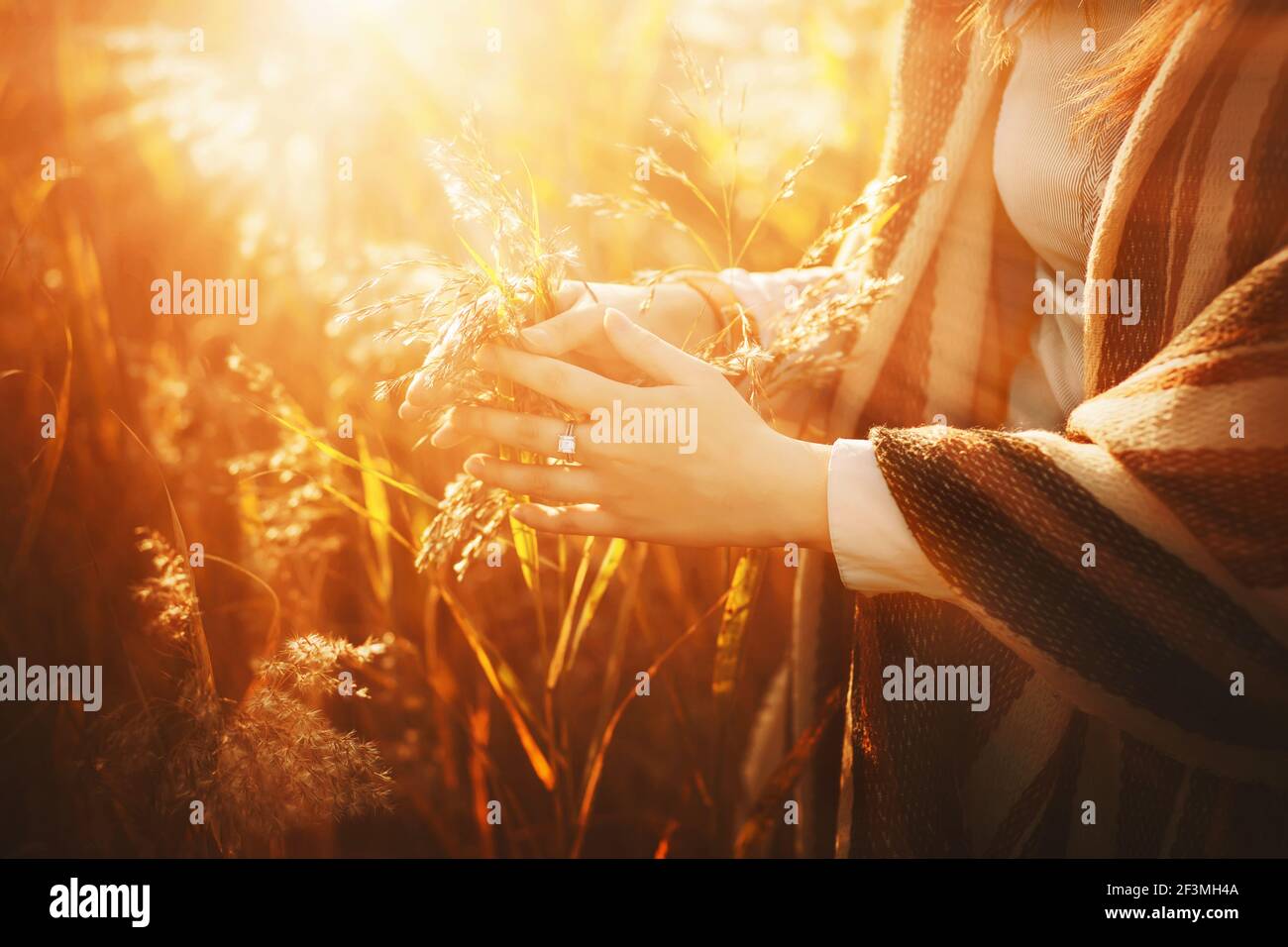 Una giovane donna in scialle a righe tocca delicatamente le alte erbe del campo, illuminate dai raggi luminosi e caldi del sole in una mattina d'autunno. Septembe Foto Stock