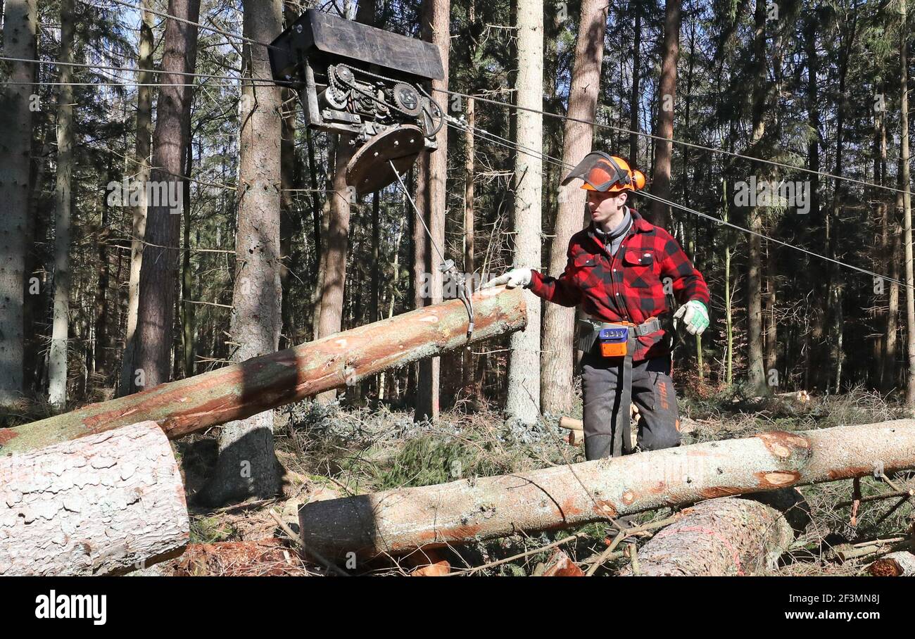 Wiethagen, Germania. 17 Marzo 2021. In occasione di un evento stampa nella Rostock Heath, il forestere Marc Hinz dell'ufficio forestale della città utilizza la tecnologia delle gru a fune per la raccolta del legname. Il nuovo metodo ecocompatibile è particolarmente adatto per le zone umide della foresta su terreno pianeggiante e dovrebbe essere realizzabile anche per le operazioni forestali più piccole. Credit: Bernd Wüstneck/dpa-Zentralbild/ZB/dpa/Alamy Live News Foto Stock