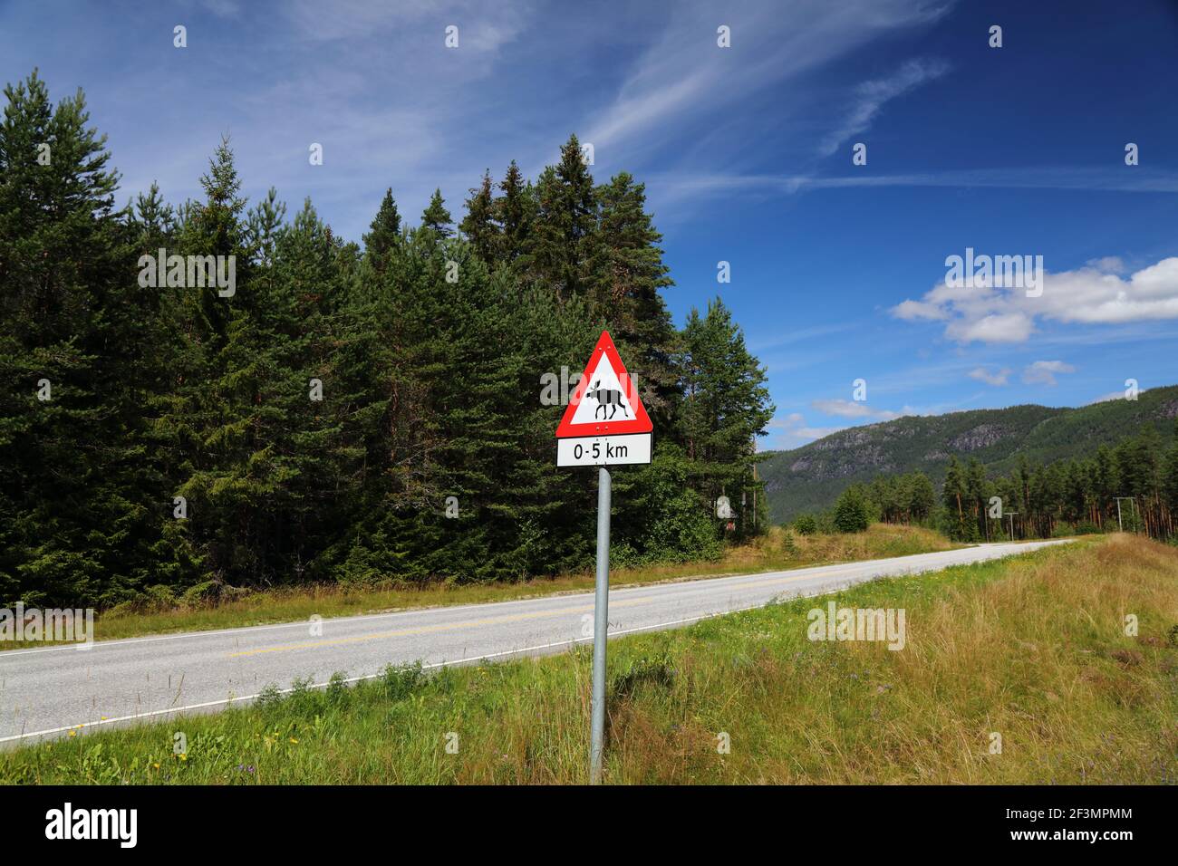 Segnale di avvertimento Moose su una strada di montagna nella valle di Setesdal nella contea di Agder, Norvegia. Foto Stock