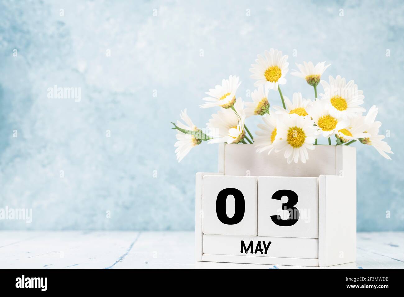 Calendario cubo bianco per maggio decorato con fiori margherita sopra sfondo blu con spazio per la copia Foto Stock