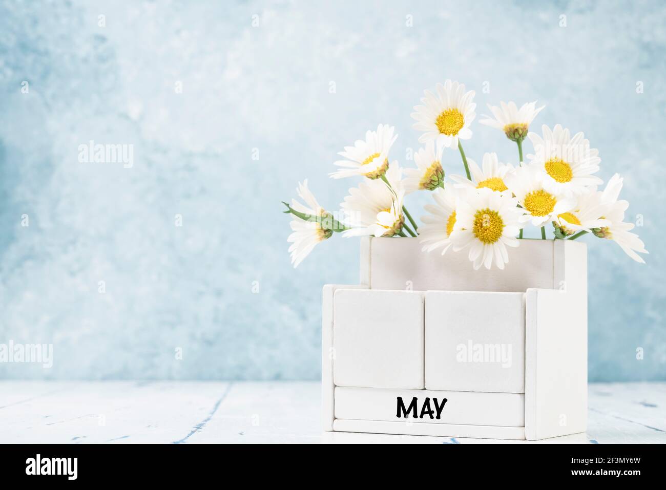 Calendario cubo bianco per maggio decorato con fiori margherita sopra sfondo blu con spazio per la copia Foto Stock