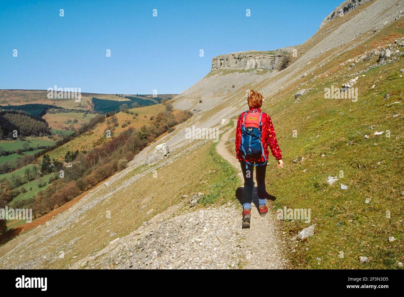 Camminando il sentiero delle mucche nella valle di Eglwyseg Galles Foto Stock