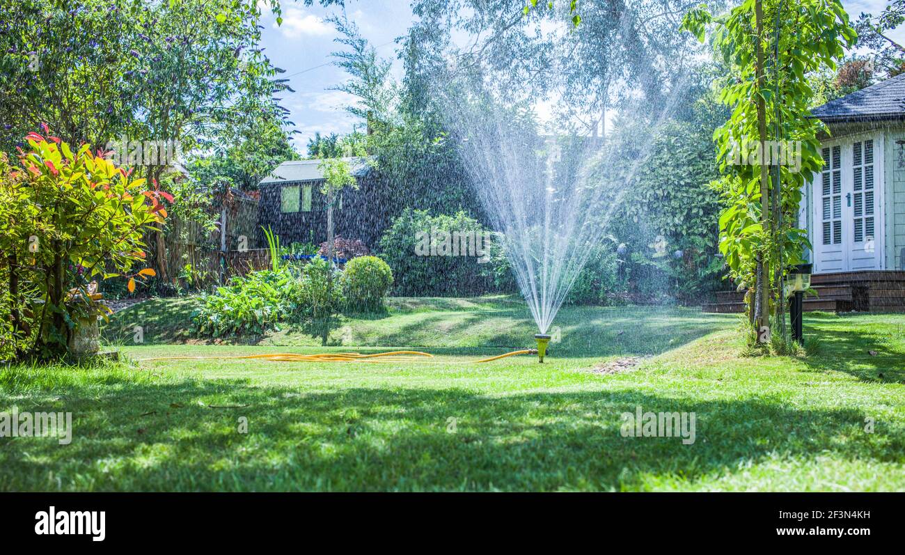 Sprinkler acqua in giardino Foto Stock