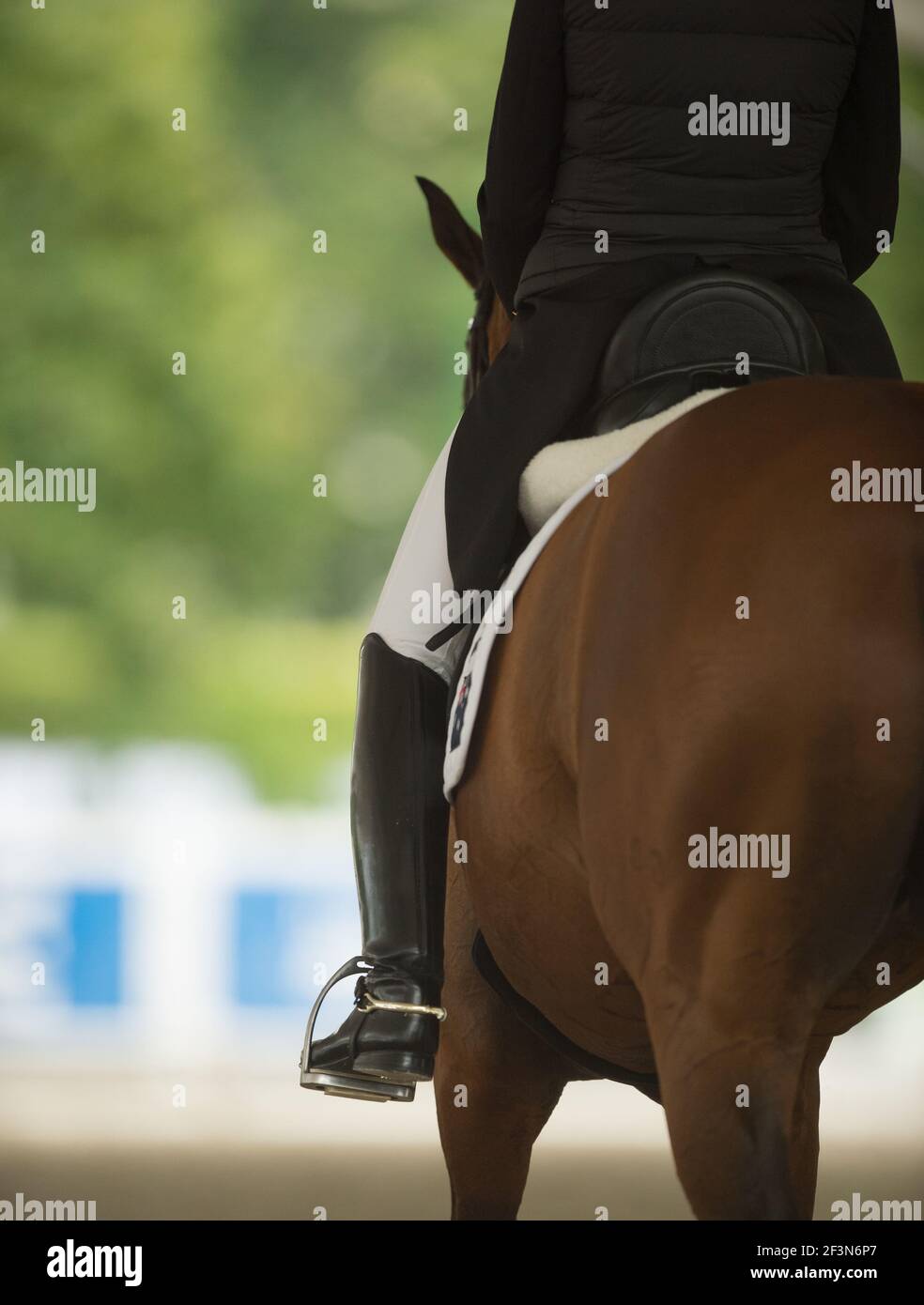 Cavaliere di dressage equestre in un apposito sedile di dressage che mostra alto nero stivali da dressage beige jodhpurs pelle inglese dressalage sella bianca pad Foto Stock