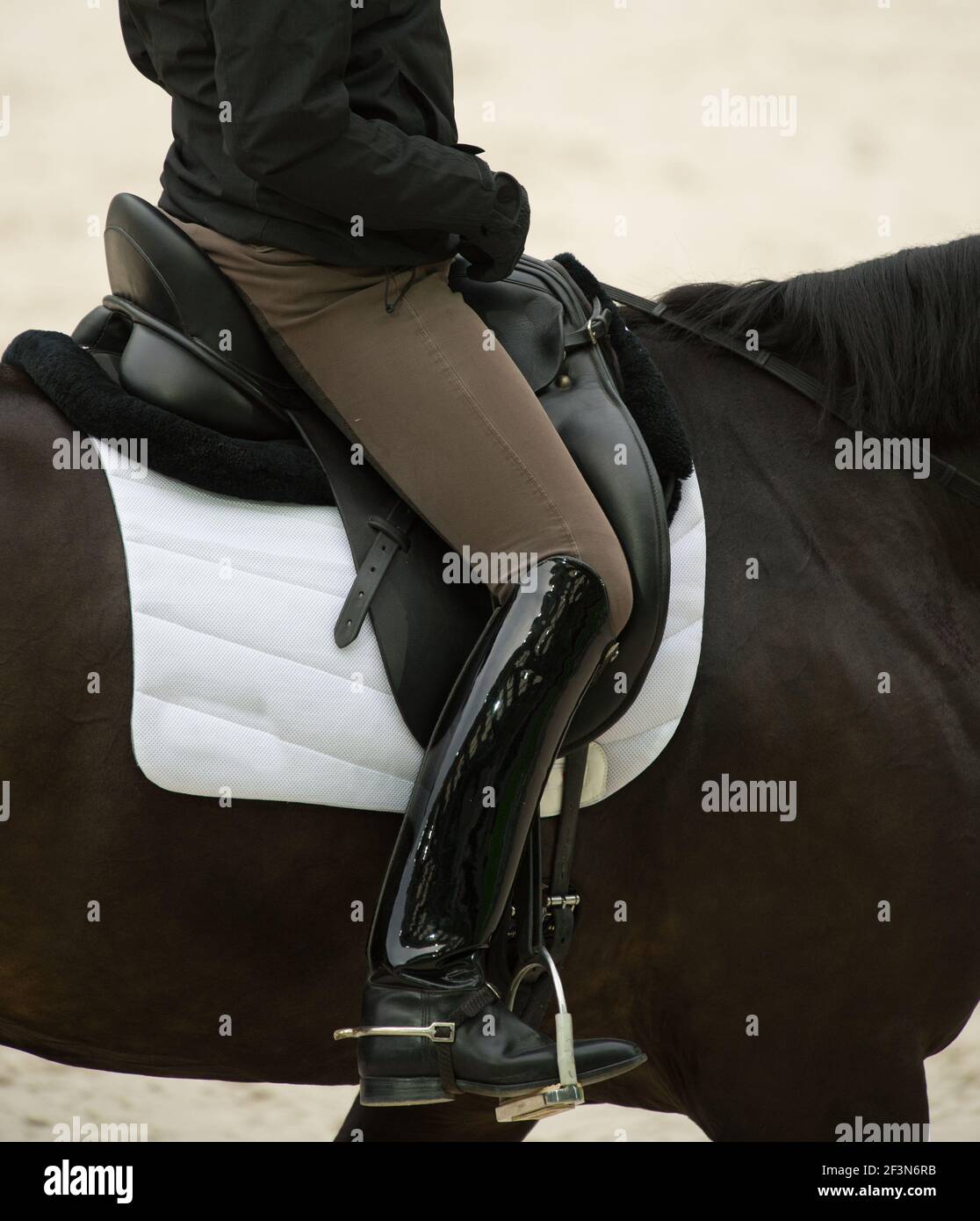 Cavaliere di dressage equestre in un apposito sedile di dressage che mostra alto nero stivali da dressage beige jodhpurs pelle inglese dressalage sella bianca pad Foto Stock