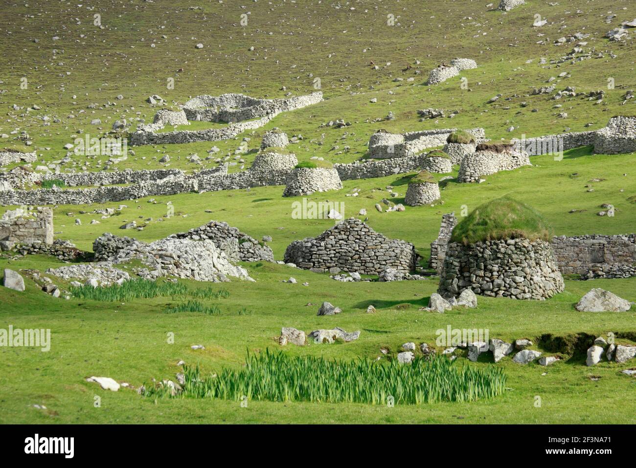St Kilda è una riserva naturale nazionale, un santuario della fauna selvatica e patrimonio dell'umanità dell'UNESCO. È la più importante stazione di allevamento di uccelli del Nord Foto Stock